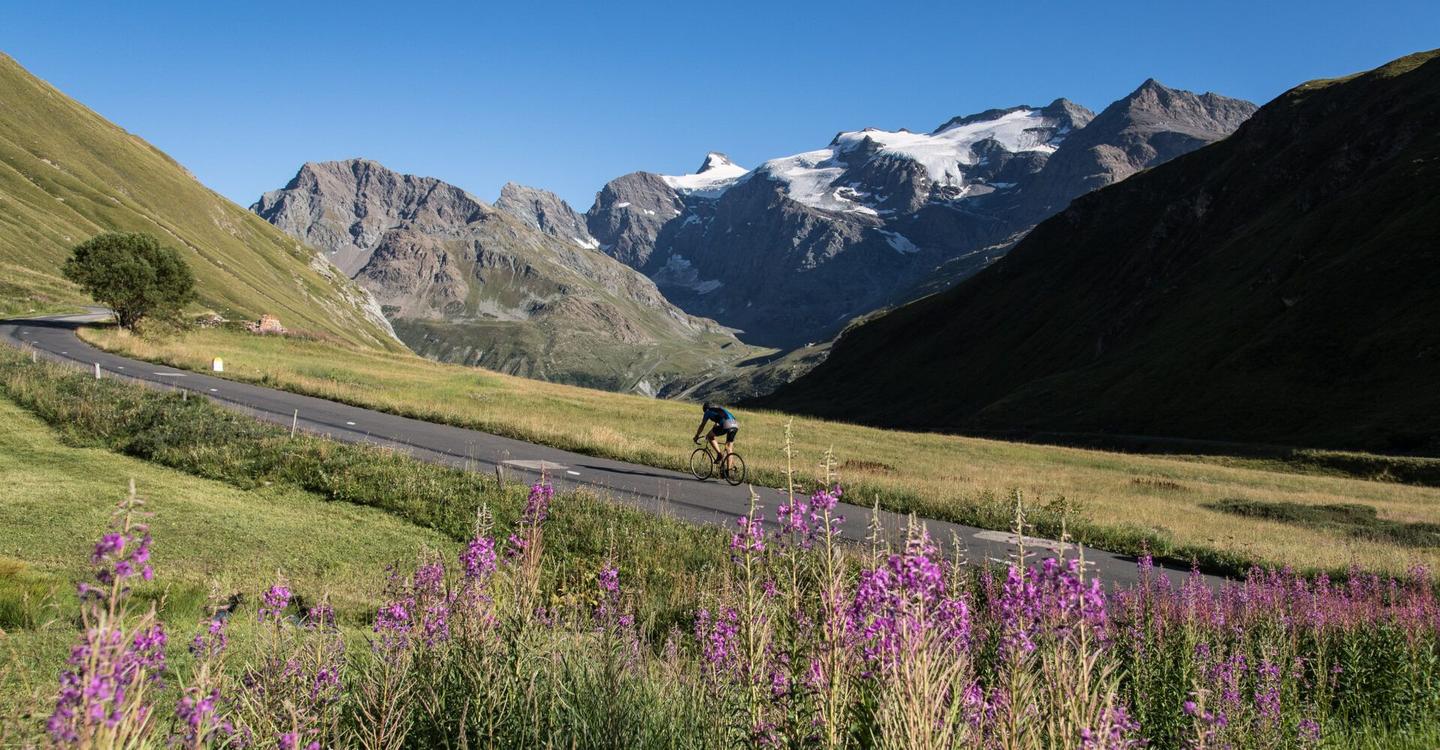 A cyclist rides along a road through the green valleys and wildflowers of Col de l'Iseran, with snow-capped peaks in the background under a clear sky.