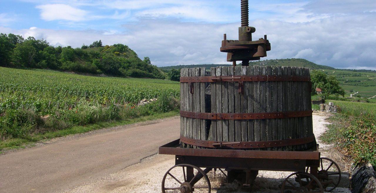 Traditional wine press in a vineyard.