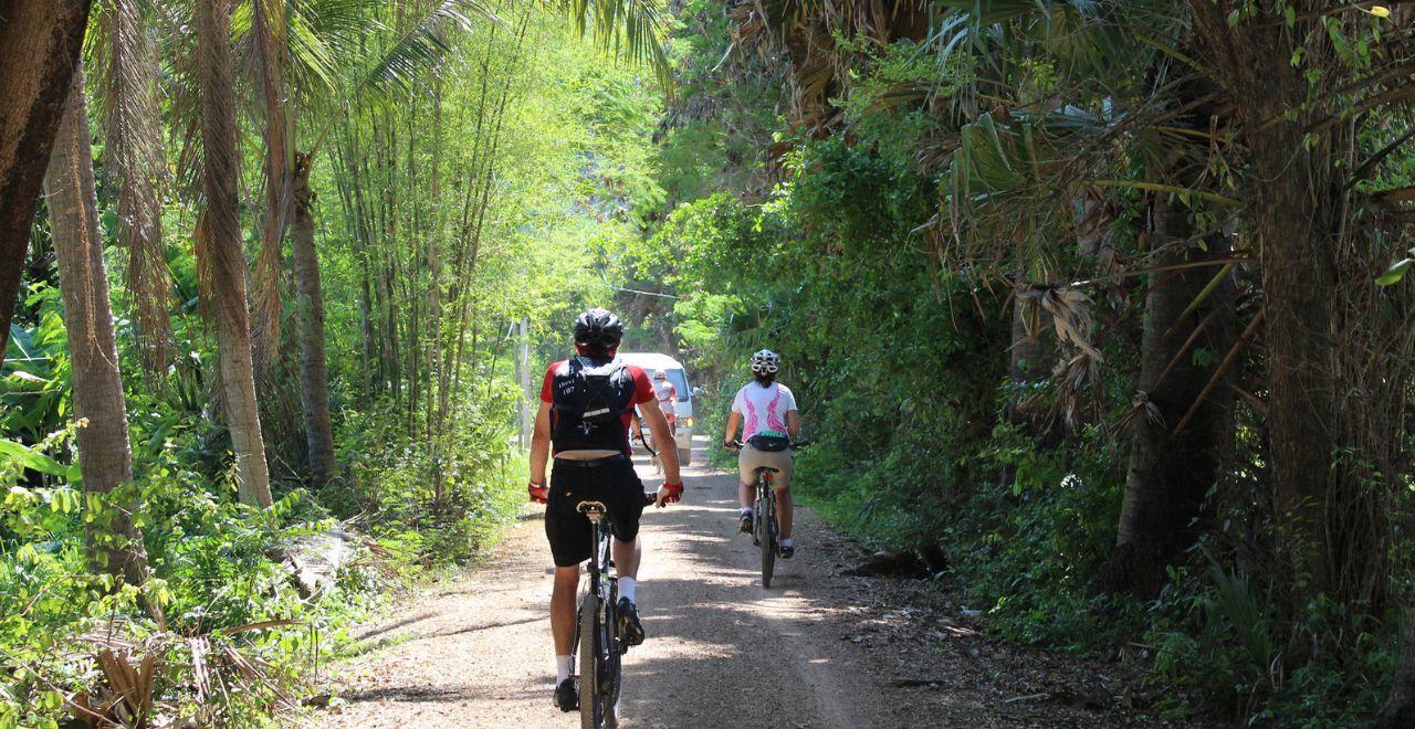 Cyclists on a shaded path through tropical vegetation