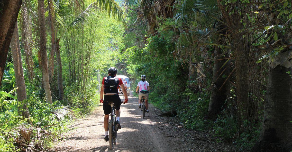Cyclists exploring the ancient temple ruins of Angkor Wat, with lush green trees and a clear sky