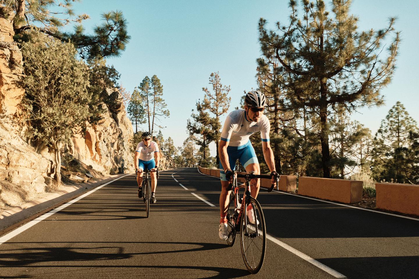 Cyclists ascending a winding mountain road in Tenerife, with a backdrop of pine trees and rocky outcrops under a clear sky.