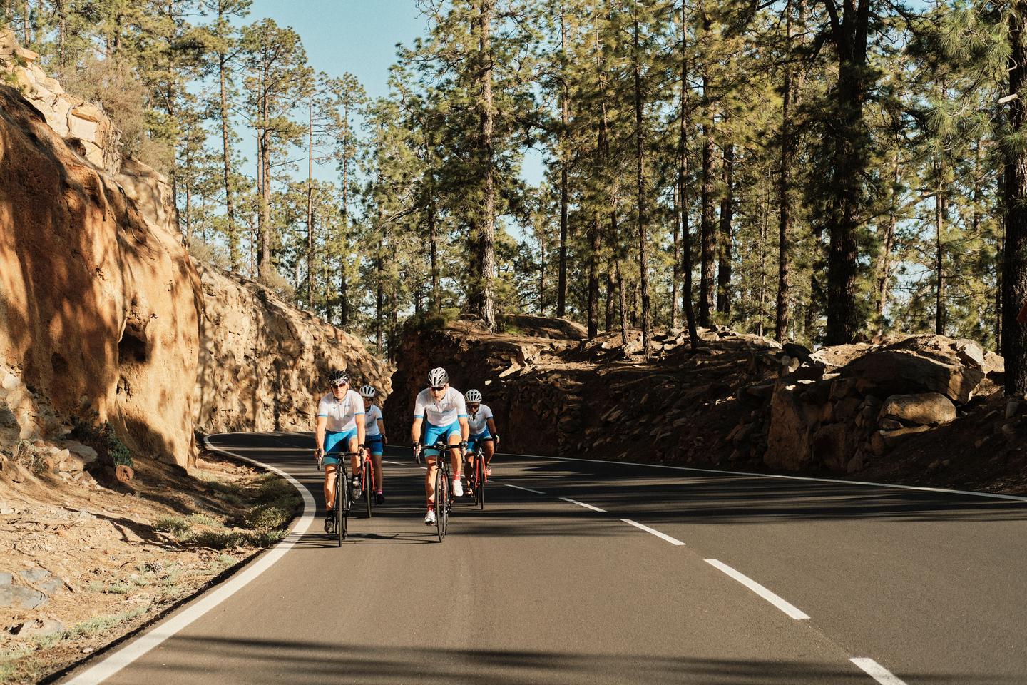 A group of cyclists riding through a forested mountain road in Tenerife. The road is surrounded by tall trees and rugged terrain.