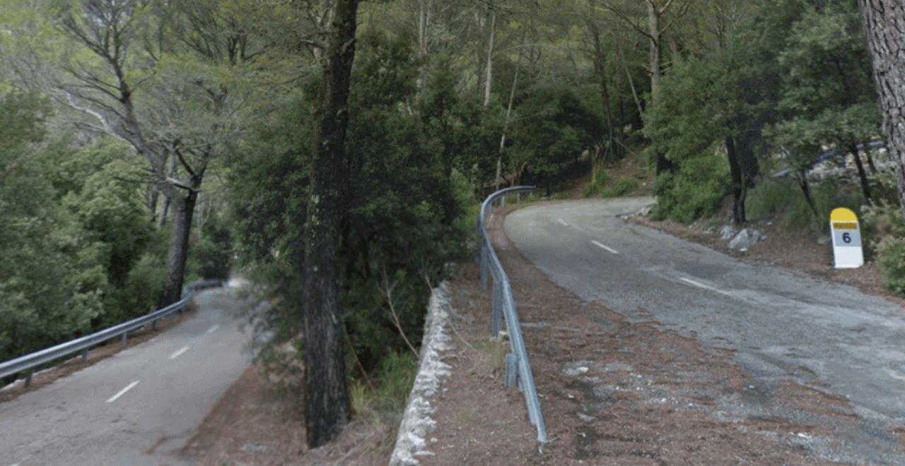 Switchback in Mallorca with trees either side of the road