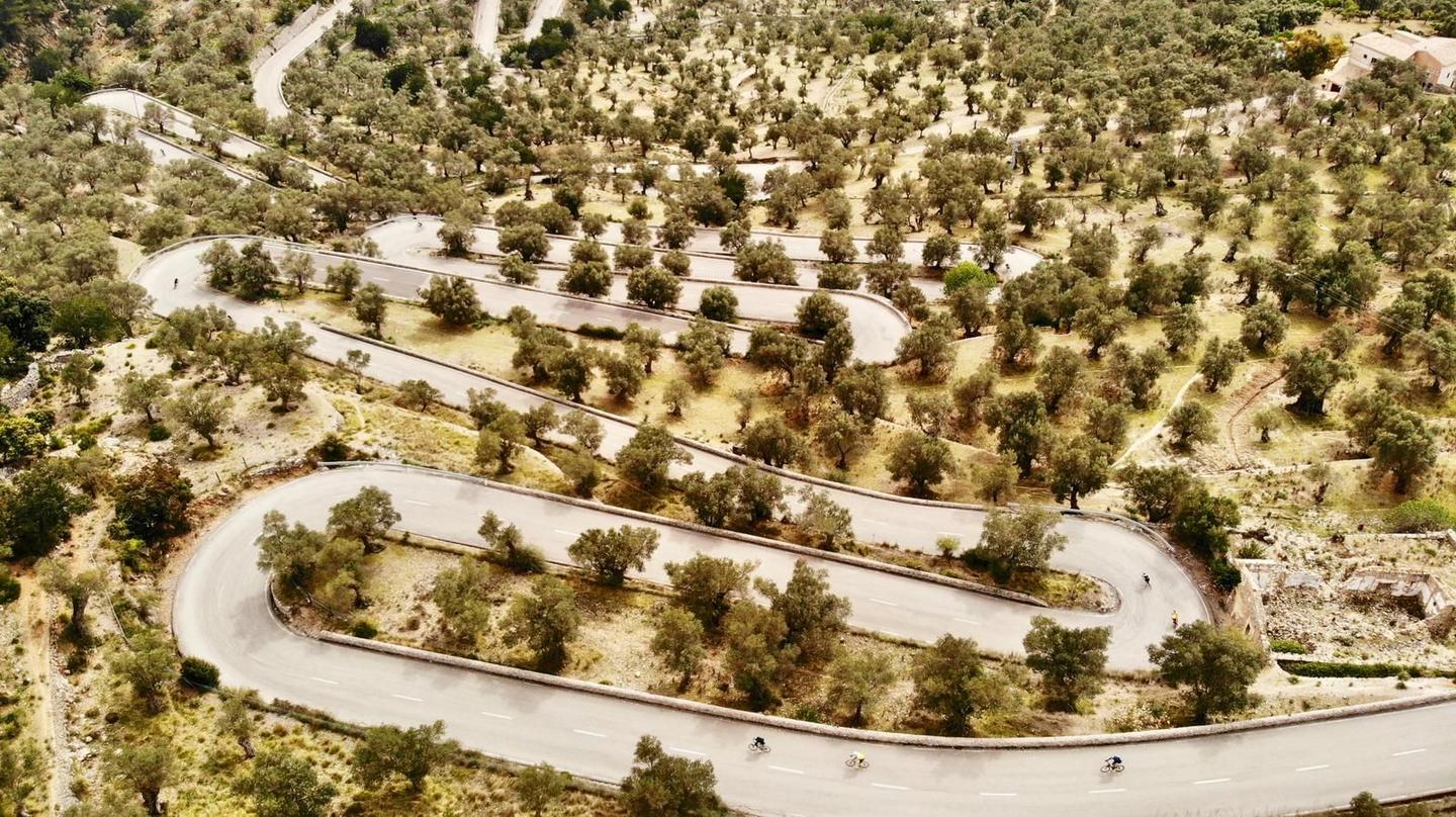 Aerial view of the Coll de Sóller's numerous hairpin turns amidst a landscape of olive trees in Mallorca.