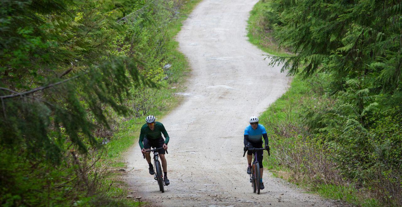 Cyclists embarking on a gravel cycling adventure through a dense green forest, experiencing the tranquility of nature