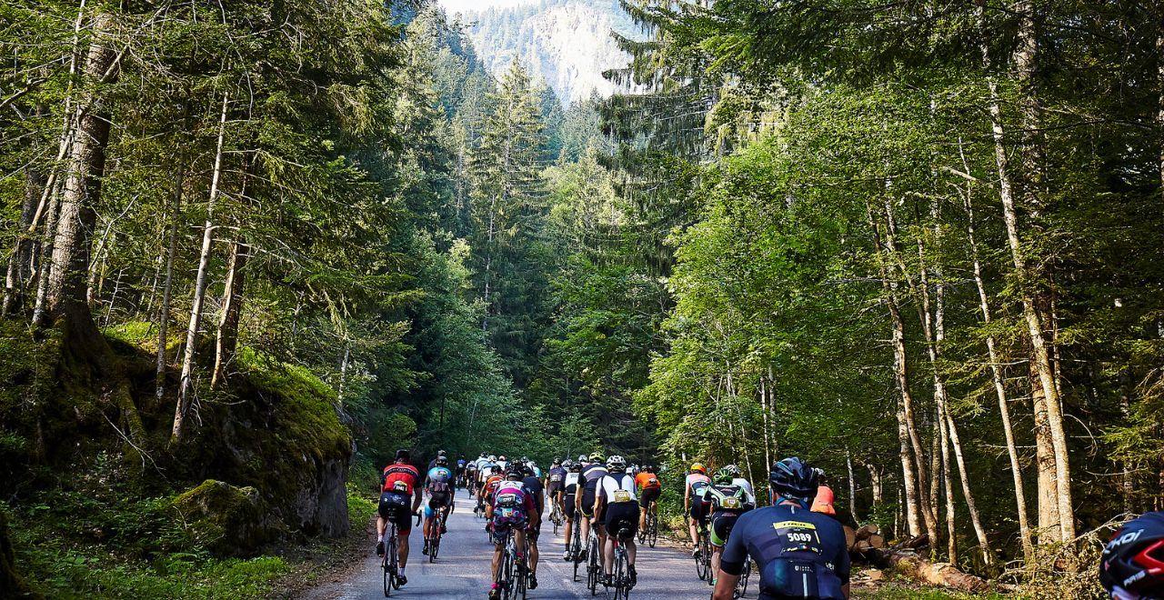 Cyclists riding through a forested mountain road.