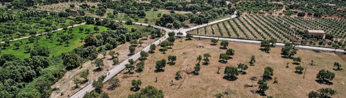 Aerial view of cyclists riding through a scenic landscape near Port Pollensa, Mallorca, with green fields and orchards surrounded by lush vegetation.