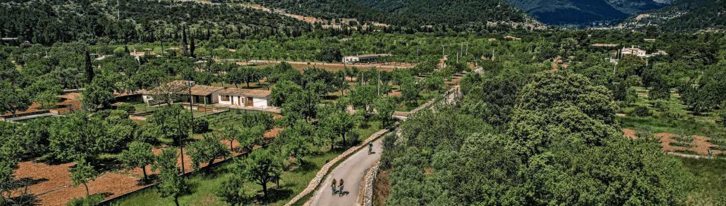 Aerial view of cyclists riding on a winding road through a verdant landscape near Port Pollensa, Mallorca, with green fields and forested hills.