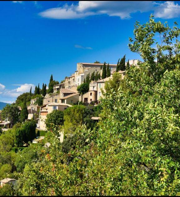 Hillside view of a quaint village in Provence, France, with lush greenery and mountain backdrop