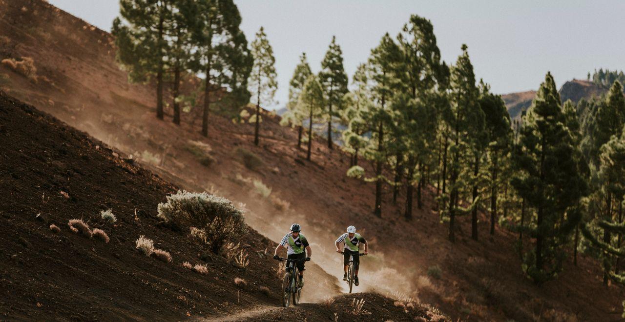 Cyclists riding down a dusty trail surrounded by trees.
