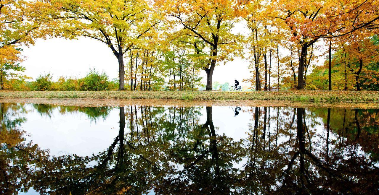 Cyclist riding along a path lined with autumn trees, reflecting in a calm pond