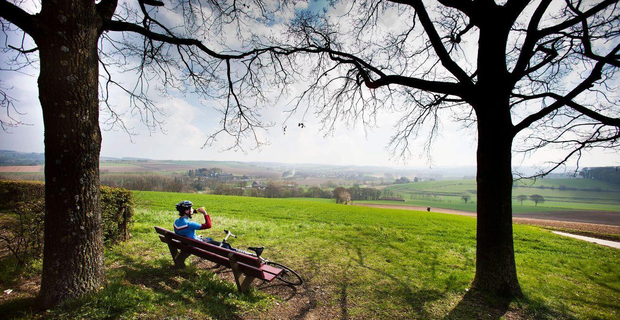 Cyclist resting on a bench under trees, enjoying a panoramic view of the countryside