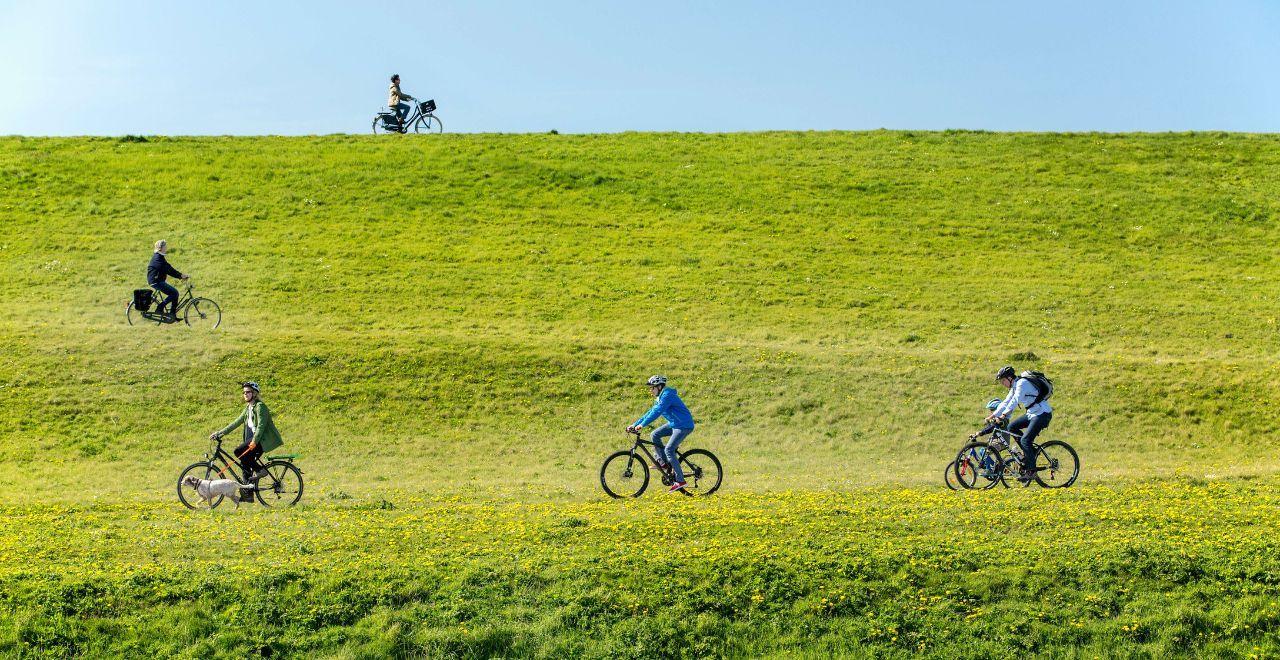 Cyclists and a walker on a green hillside with yellow wildflowers under a clear blue sky