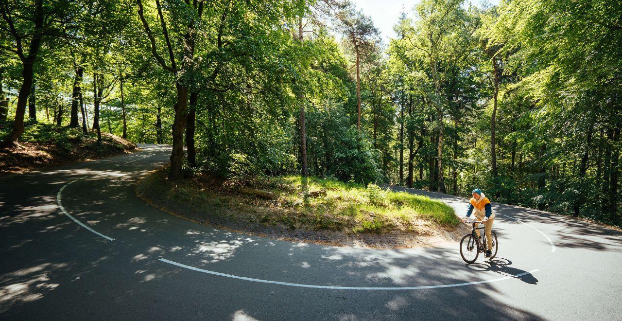 Cyclist riding on a winding road through a dense green forest on a sunny day