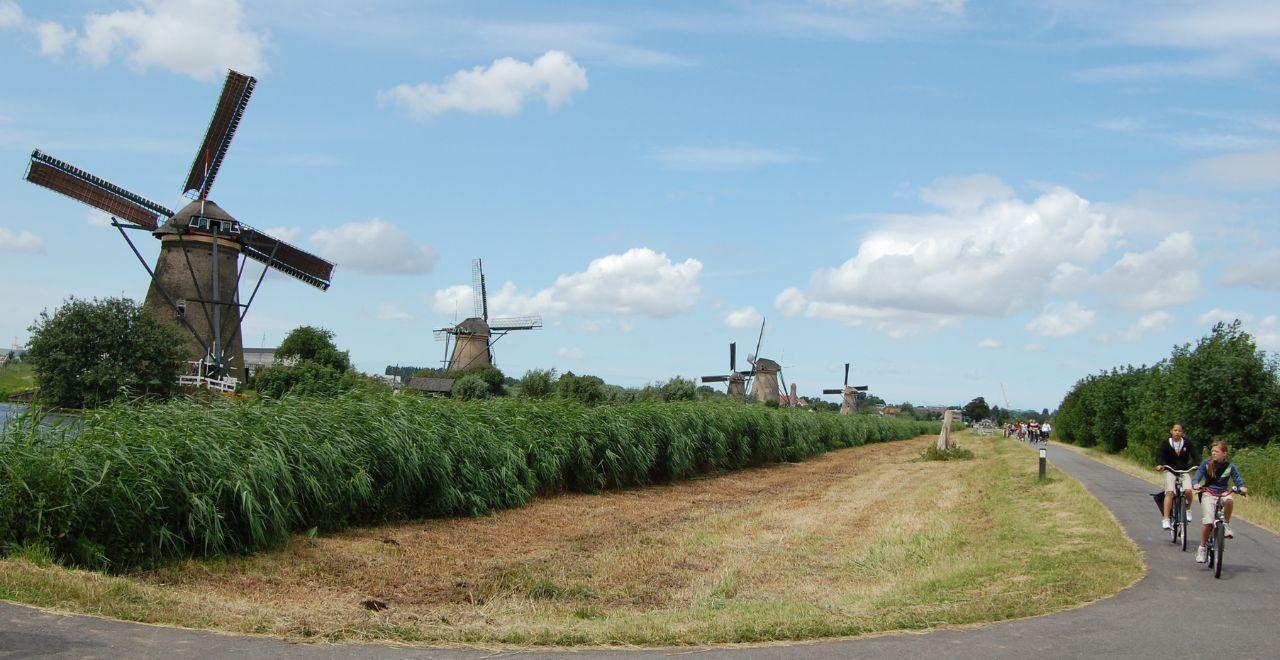 Cyclists riding on a path beside iconic Dutch windmills in a green field