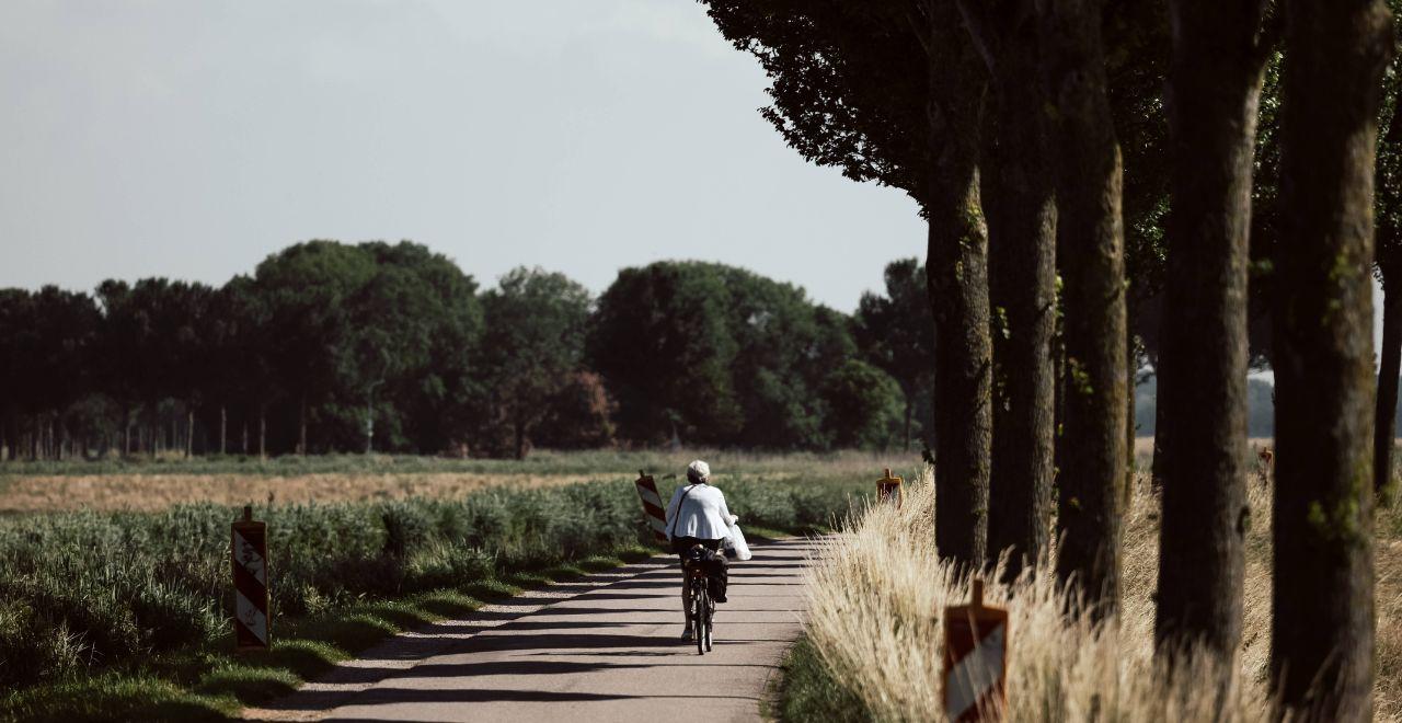 Cyclist riding on a tree-lined path in serene Dutch countryside