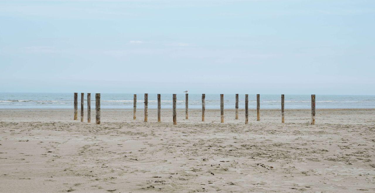 Empty sandy beach with wooden posts against a calm sea and blue sky