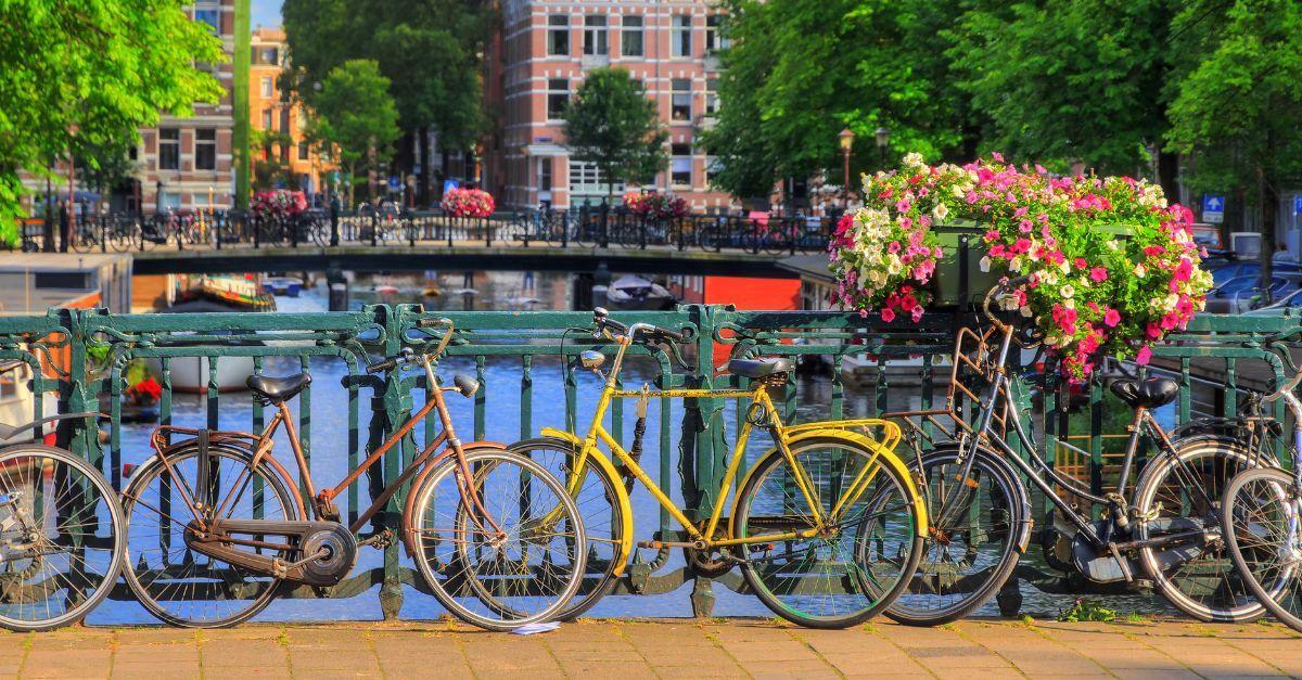 Colorful bicycles chained to a bridge railing over a canal in Amsterdam, adorned with vibrant flower baskets