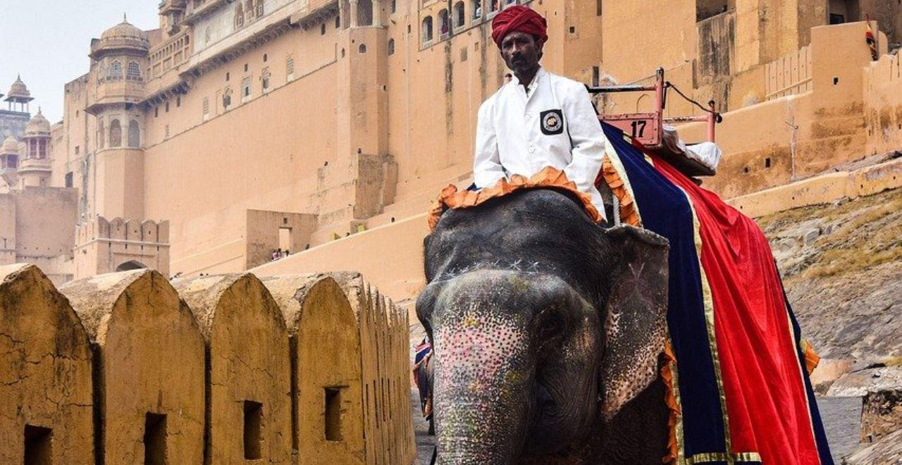 Man riding a decorated elephant in front of Amber Fort, Jaipur