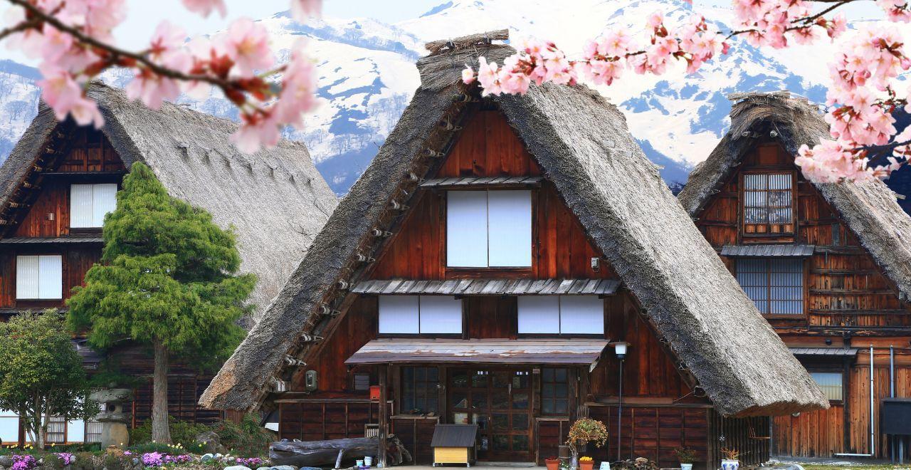 Gassho-style houses with thatched roofs, cherry blossoms in foreground