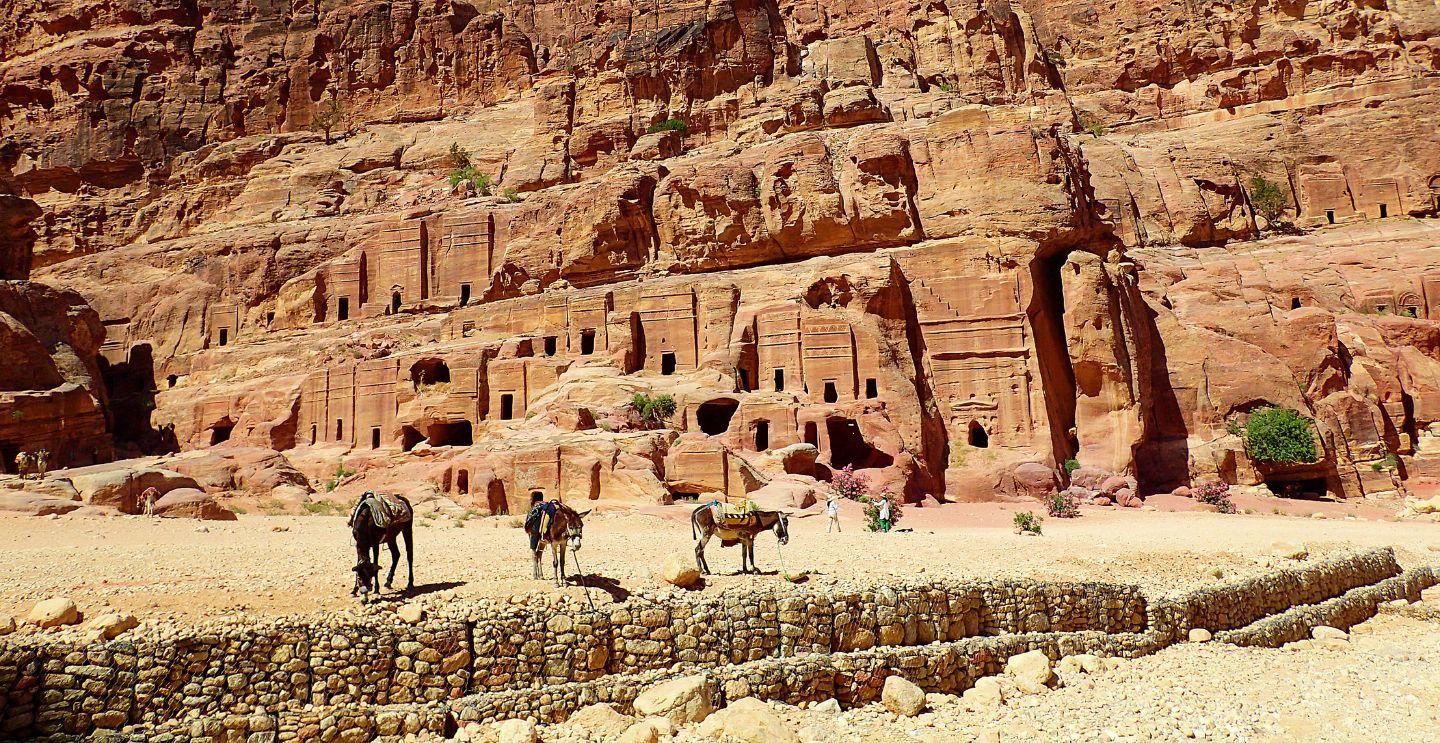 Ancient rock-cut buildings and carvings in Petra, Jordan, with donkeys and people in the foreground.
