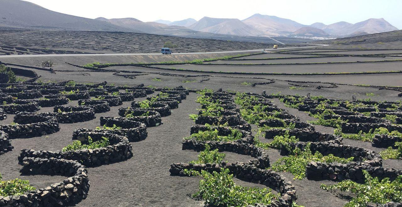 Stone semi circles protecting vineyards in Lanzarote