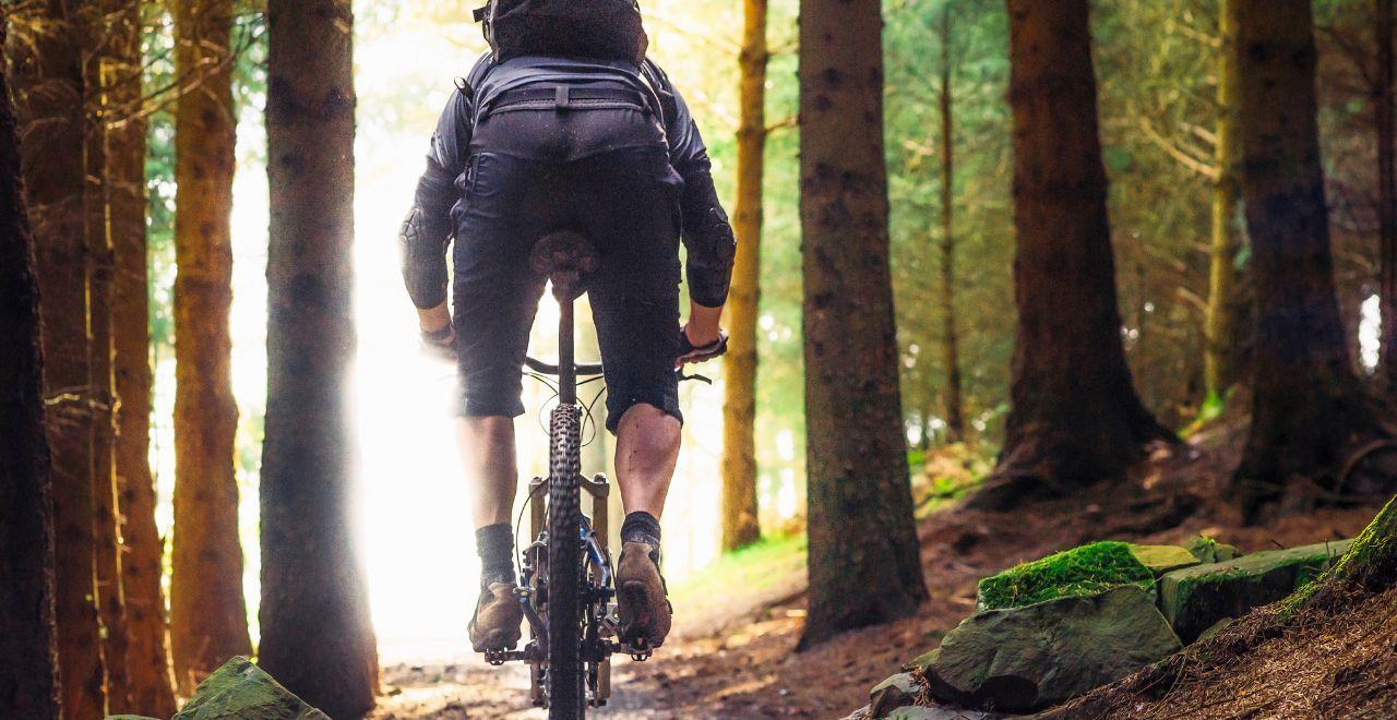 Rear view of a mountain biker riding through a dense forest.