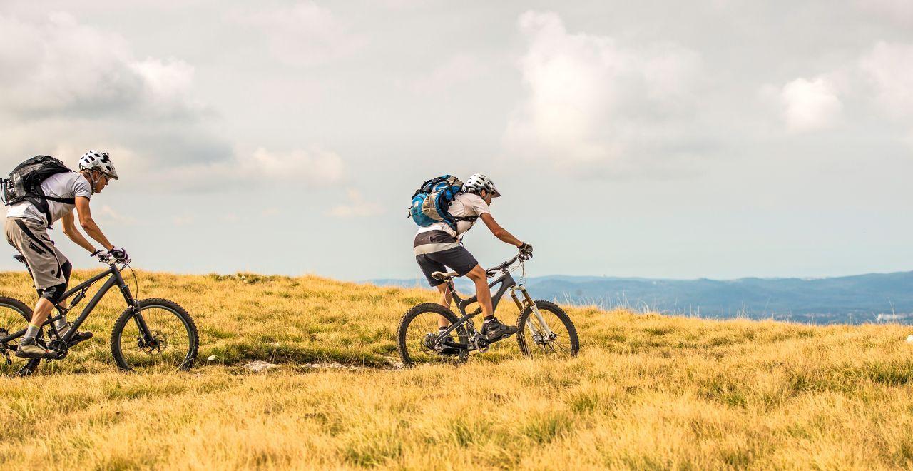 Two mountain bikers riding on a grassy hillside.