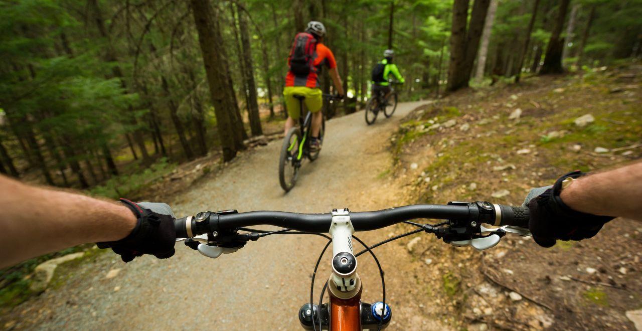 Cyclist's perspective following two bikers on a forest trail.