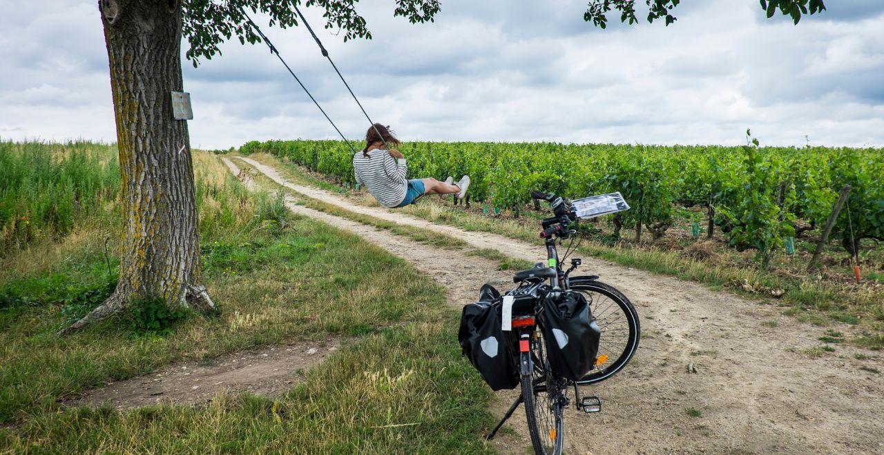 Cyclist on a swing in a vineyard with a bike resting nearby.