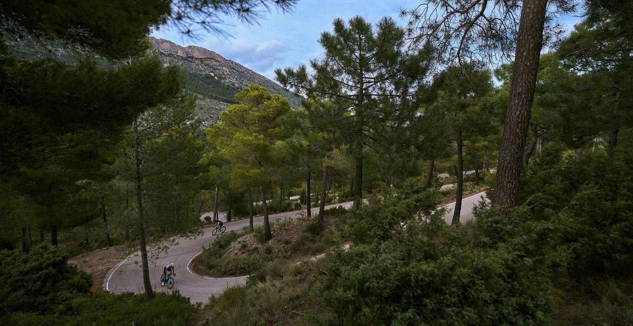  Two cyclists speed down a hairpin turn on a forested mountain road, with tall pine trees lining the route.