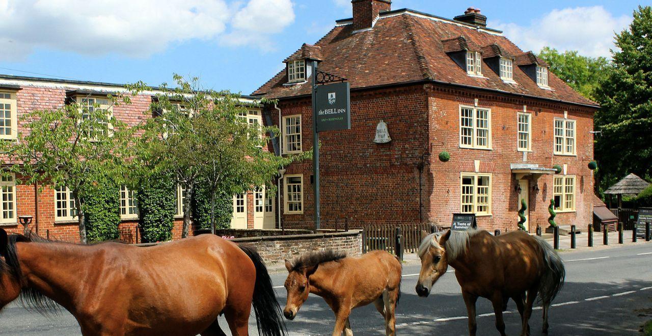 Horses walking past The Bell Inn, a historic brick building.