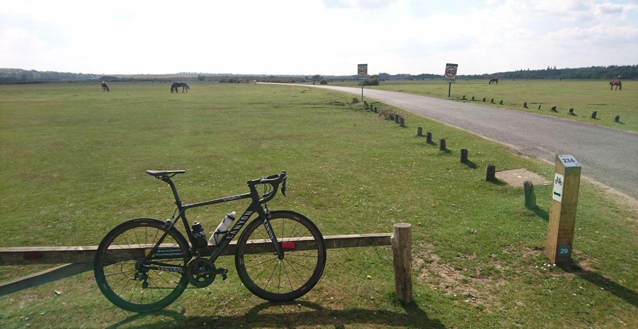 Road bike parked on grassy field with grazing horses in the distance.
