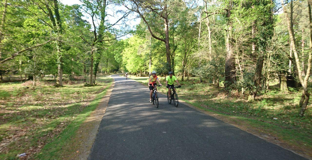 Two cyclists in neon vests riding through a lush, green forest path.