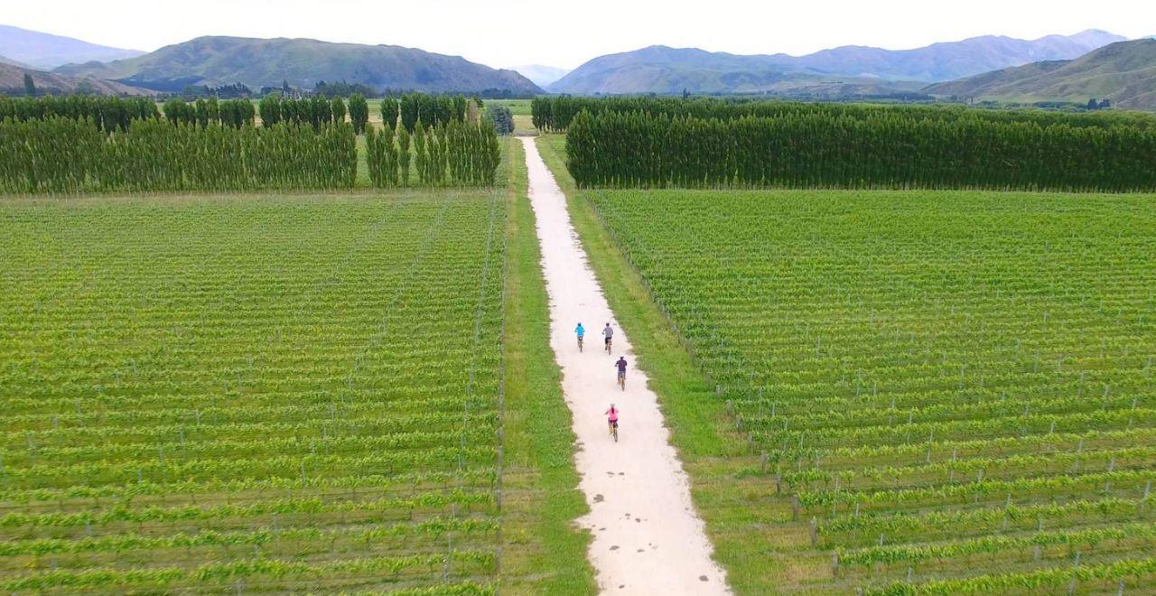 Aerial view of cyclists riding through lush vineyards on the Alps 2 Ocean Cycle Trail.