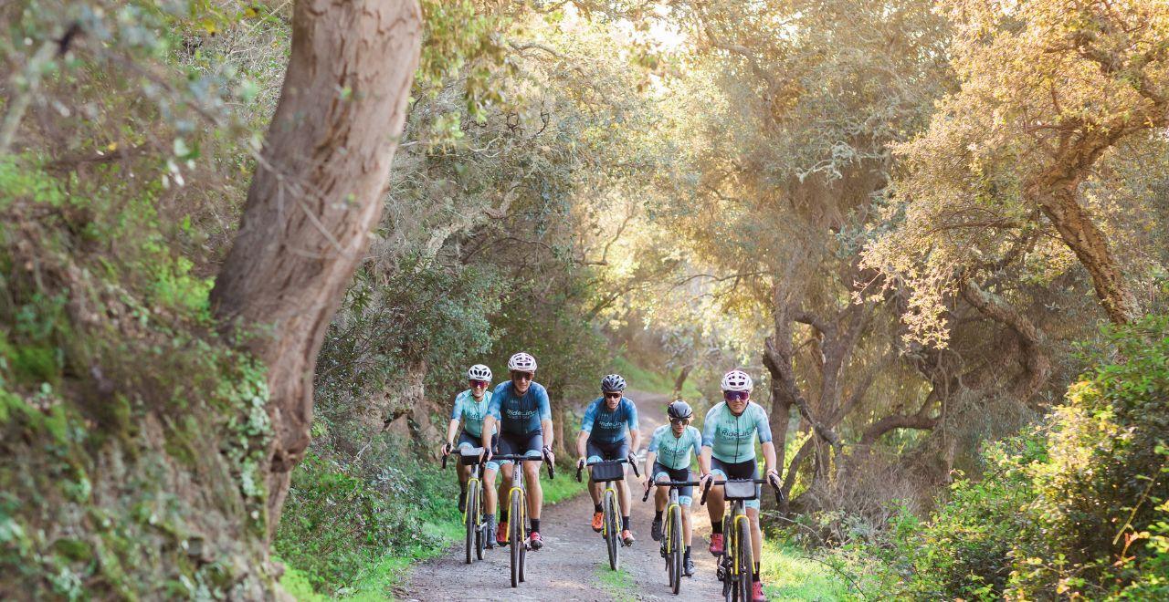 Cyclists in blue jerseys riding through a sunlit forest trail surrounded by lush greenery.