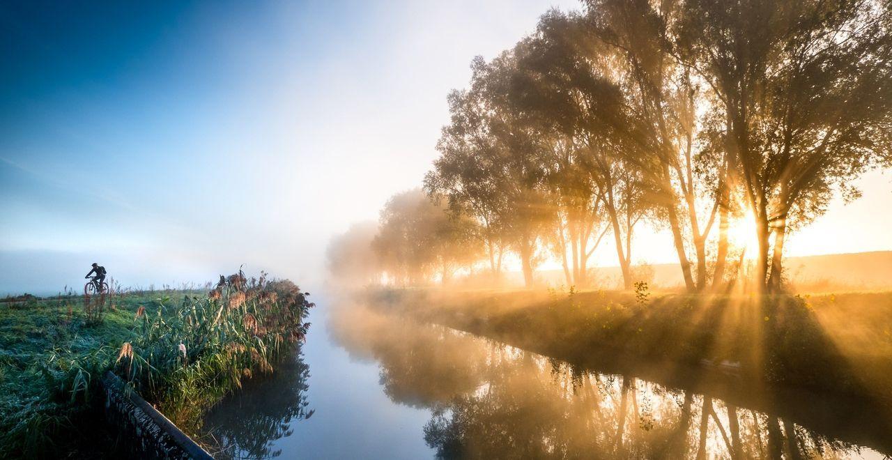 Cyclist riding along a misty canal at sunrise with trees lining the water