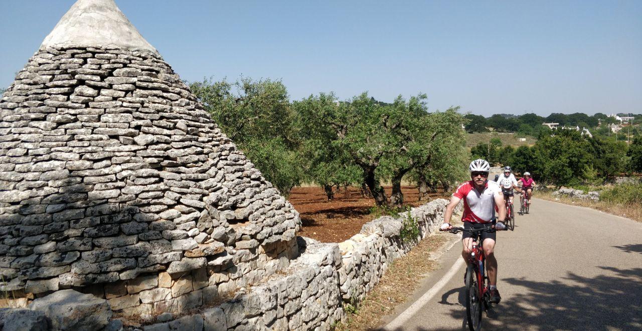 Cyclists passing by a traditional trullo and olive trees in the countryside.