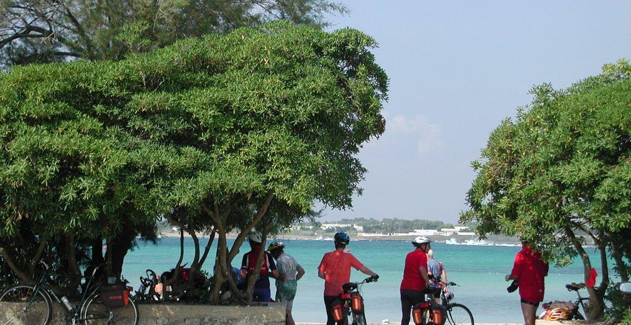 Cyclists resting under trees near the beach with turquoise water.