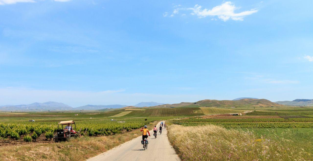 Cyclists riding along a scenic rural road surrounded by vineyards and hills.