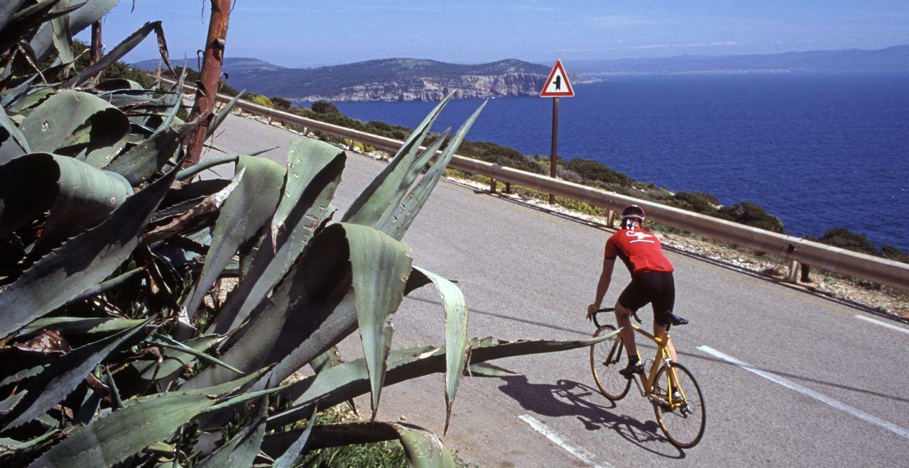 Cyclist riding up hill with the ocean to his right and plants and foliage in the foreground