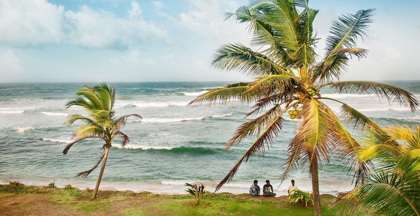 Two people sitting on a grassy cliff under palm trees, overlooking the ocean waves.