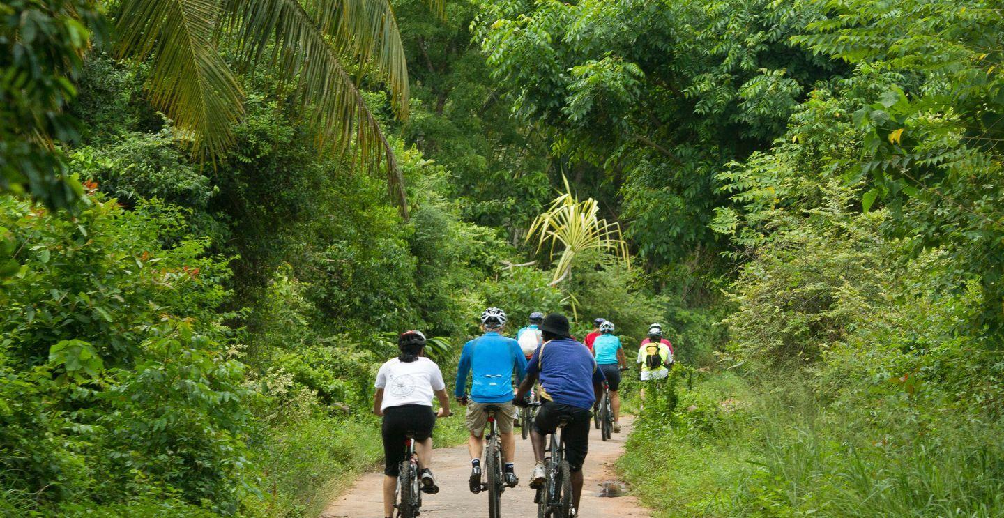 Group of cyclists riding on a narrow path through dense tropical vegetation with tall trees and greenery.