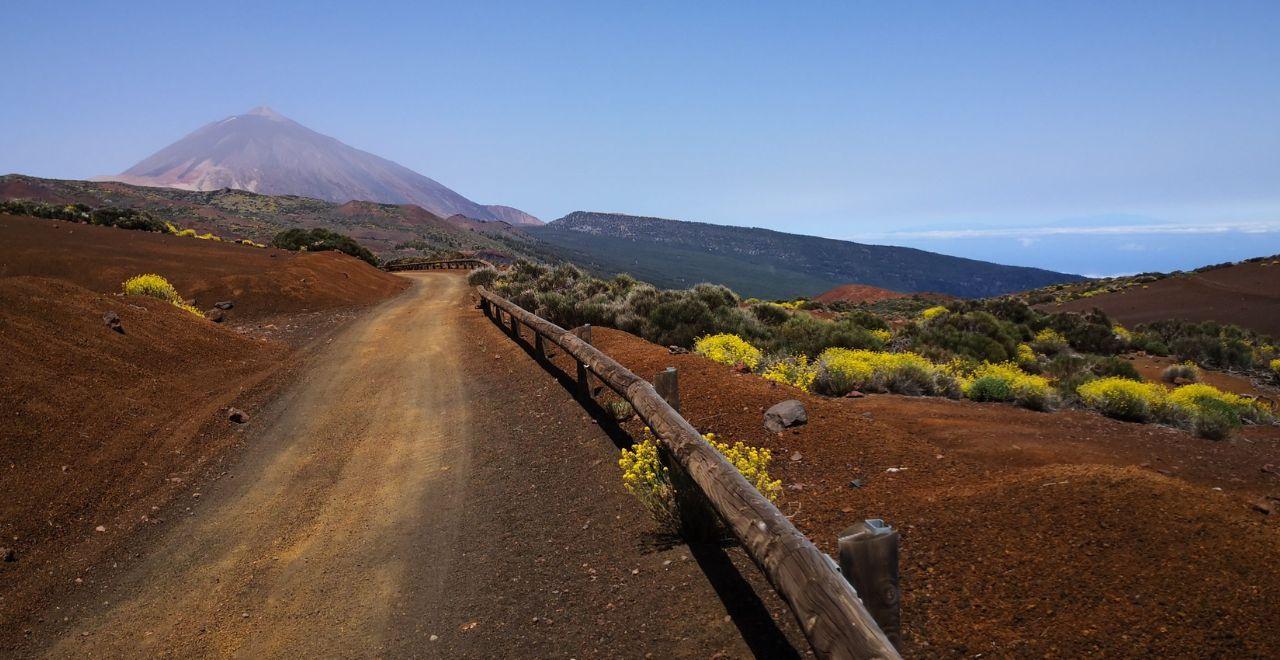 Scenic gravel path with wooden fence leading towards Mount Teide in Tenerife, surrounded by volcanic landscape and yellow wildflowers.