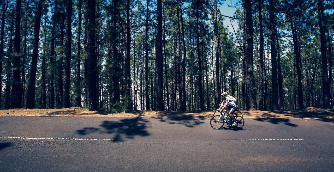 Cyclist riding through a dense pine forest on a paved road in Tenerife, with tall trees casting shadows on the ground