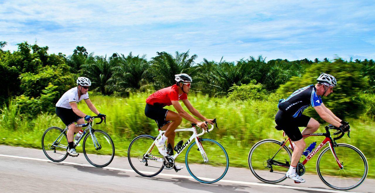 Three cyclists riding on a sunny road with lush greenery