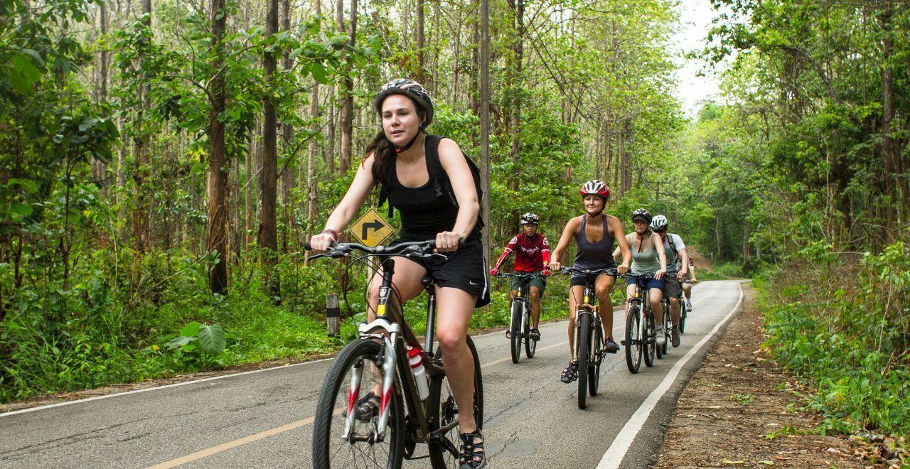 Cyclists riding through a forested road, lush greenery