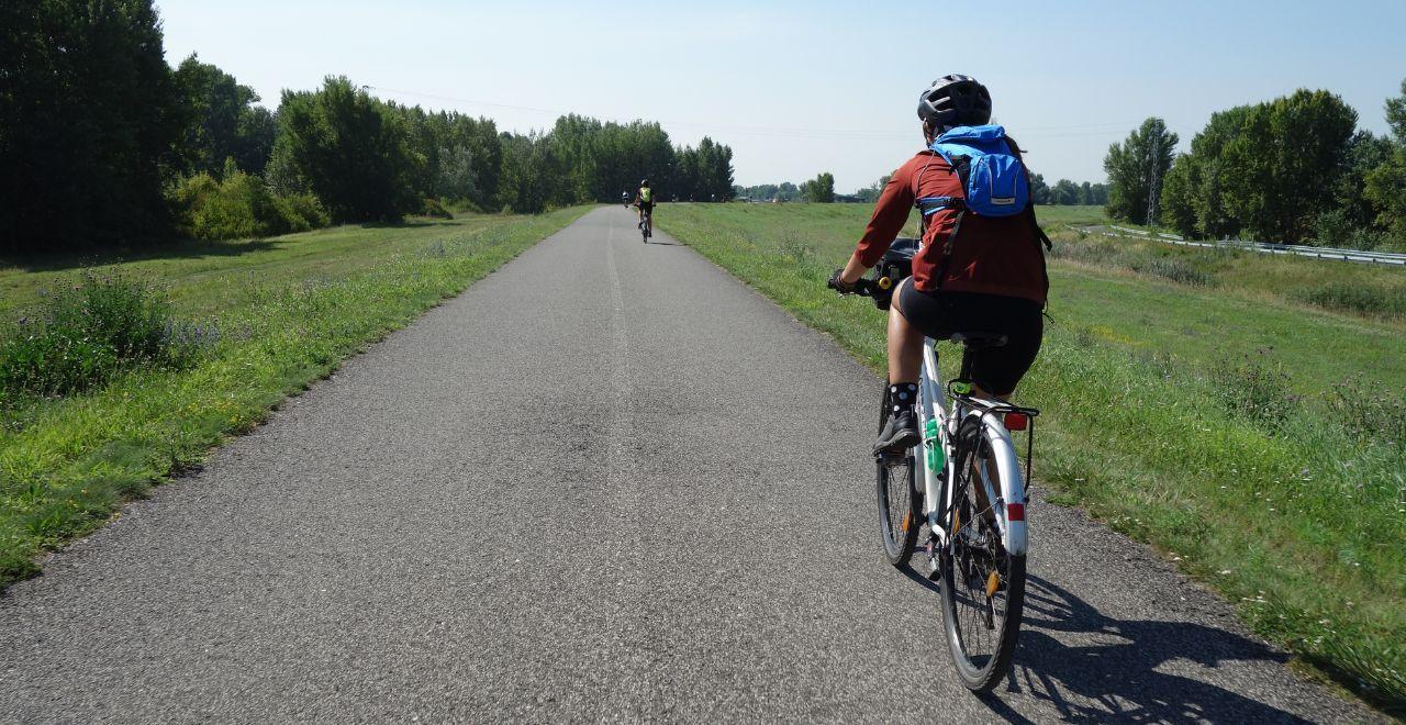 Cyclist riding along a paved bike path surrounded by green fields and trees.
