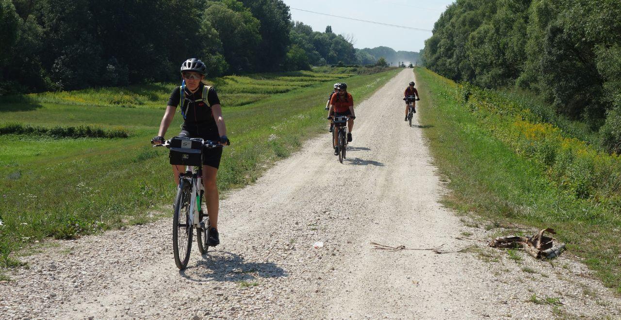 Cyclists riding on a gravel path surrounded by greenery and trees.