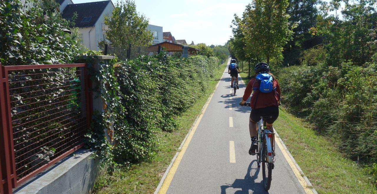 Cyclists riding on a dedicated bike path in a suburban area with houses and fences.